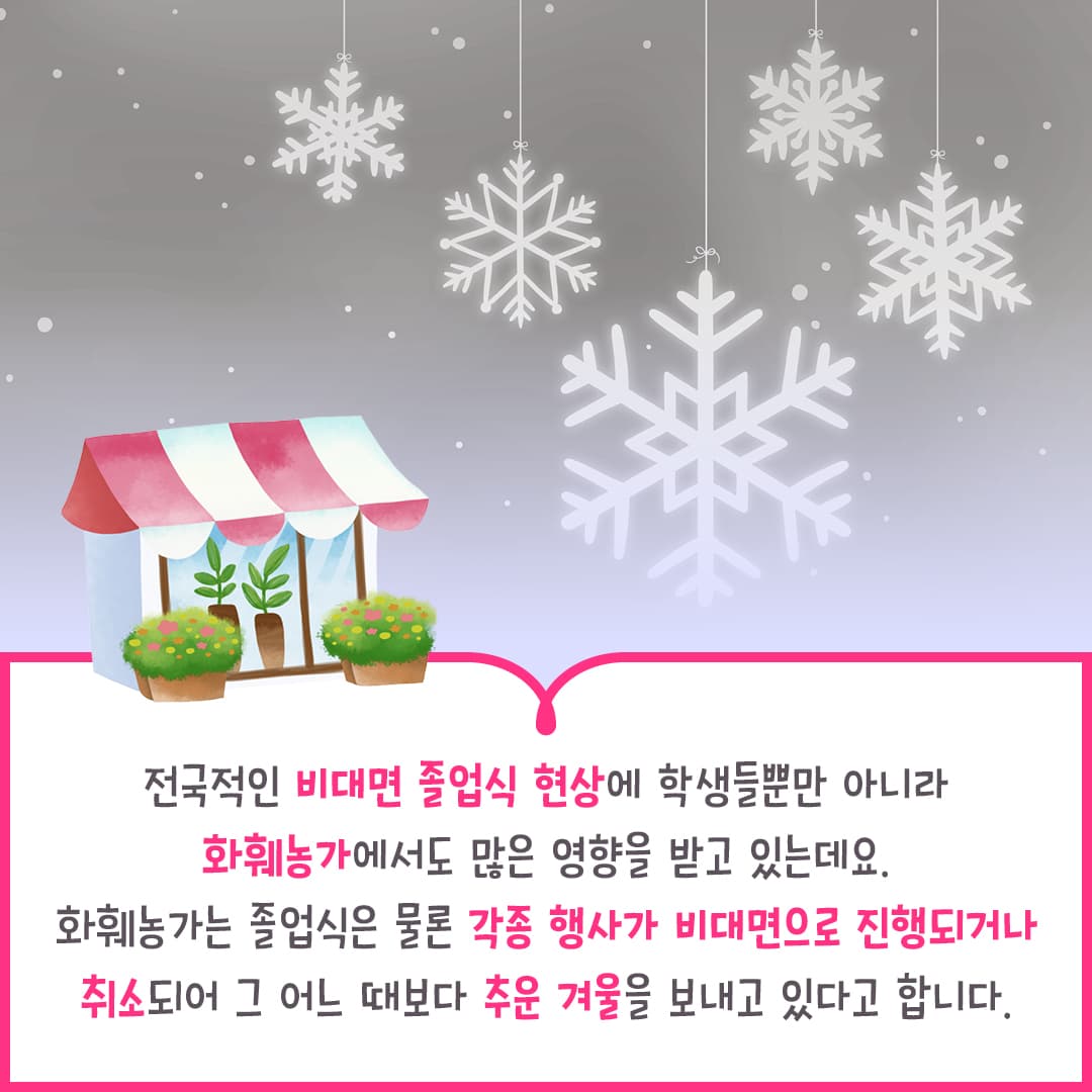 화훼농가에 희망을 전하는 꽃 한 송이