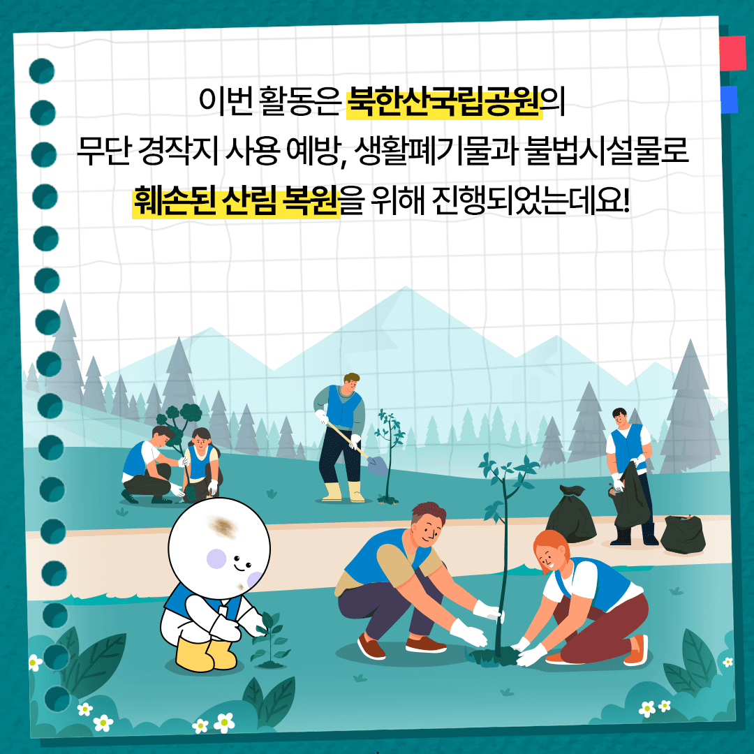 KT&G 복지재단, '2025 아름드리 생태복원 봉사활동' 진행! 본문 3