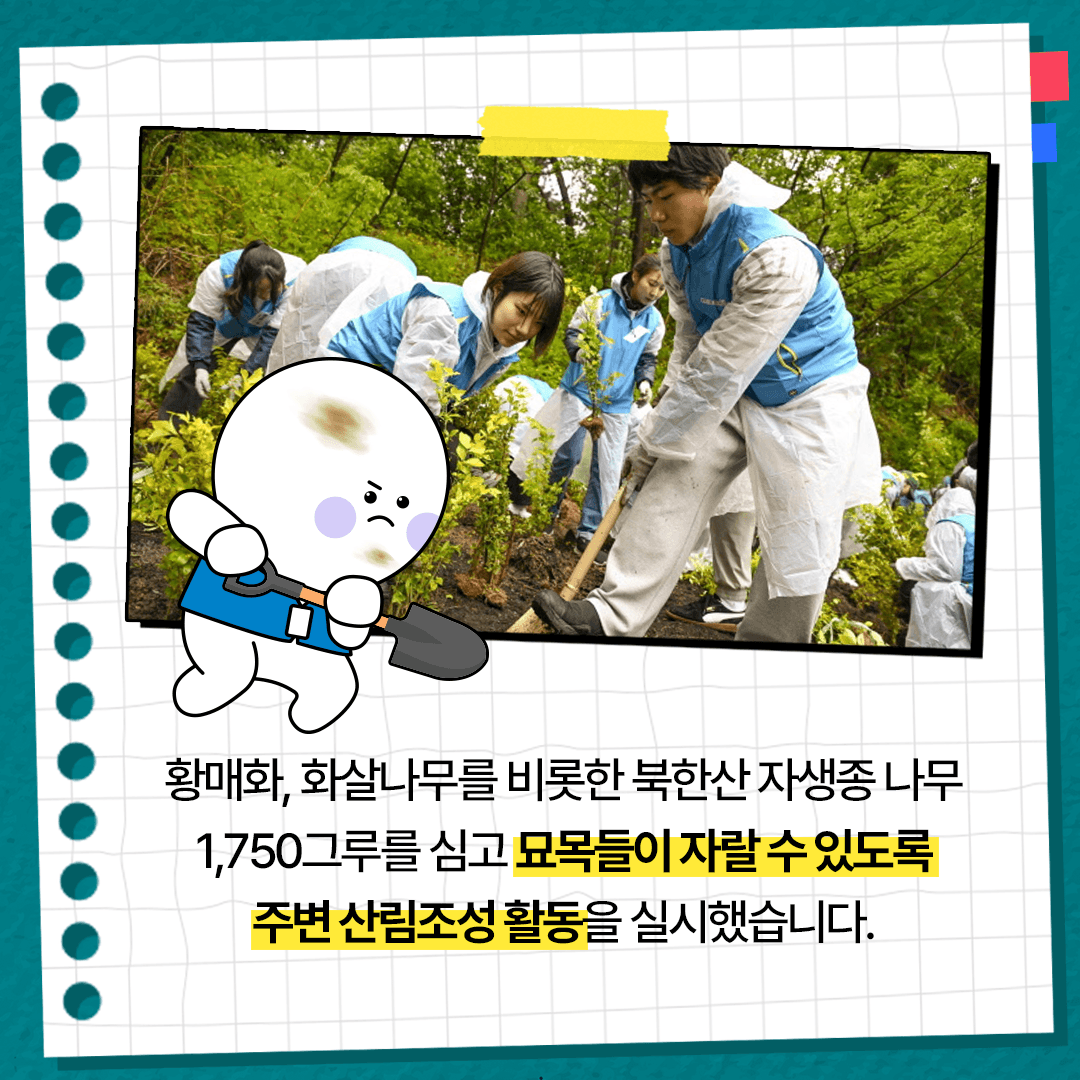 KT&G 복지재단, '2025 아름드리 생태복원 봉사활동' 진행! 본문 4