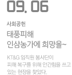 태풍피해 인삼농가에 희망을