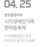 2015 시각장애인가족 한마음축제