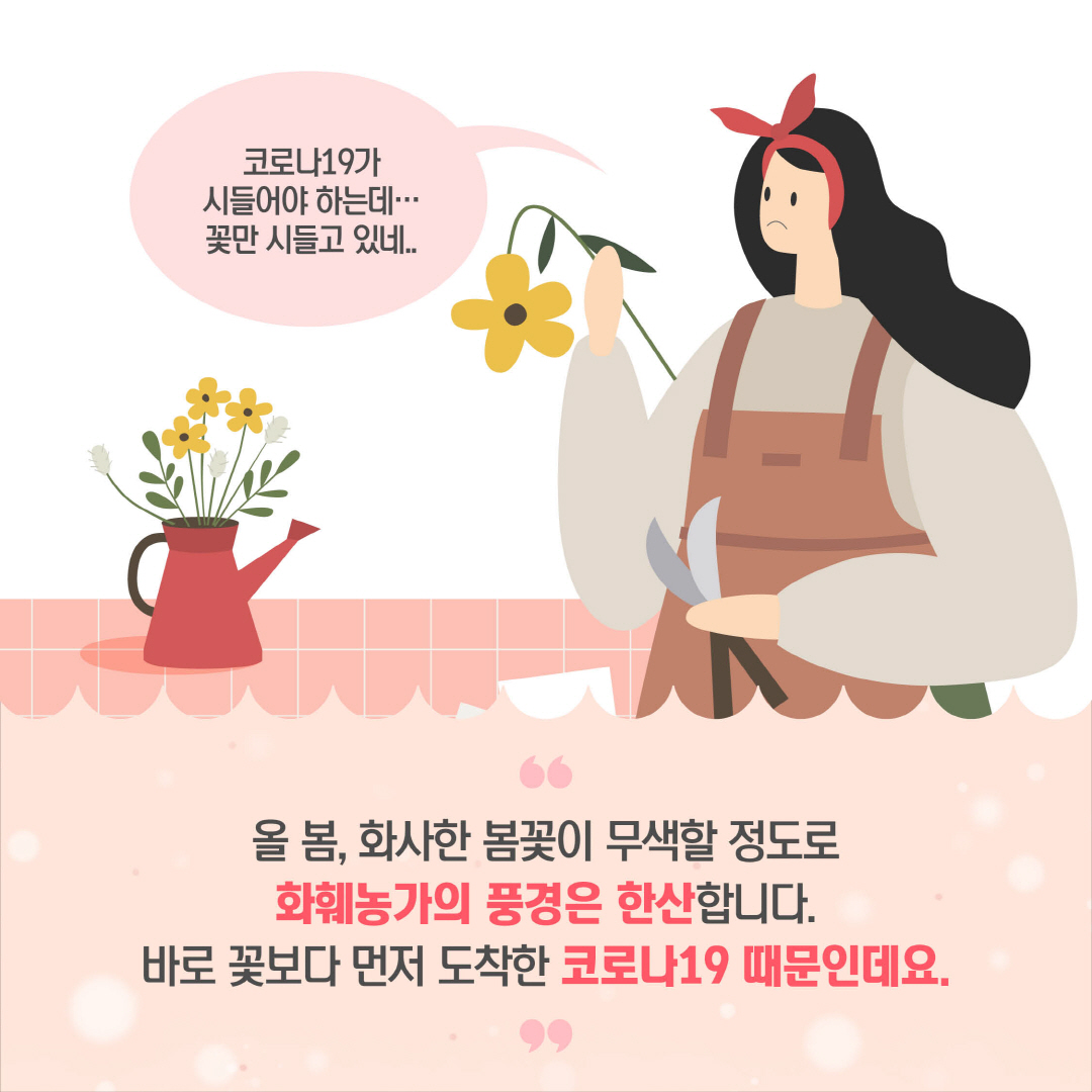 화훼농가의 풍경은 한산합니다. 바로 꽃보다 먼저 도착한 코로나19 때문인데요