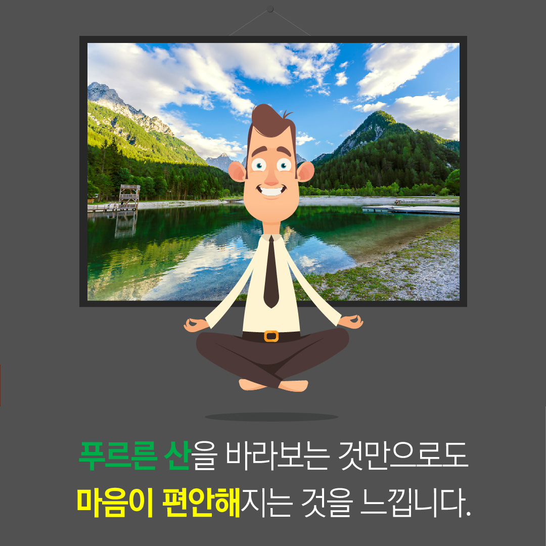 푸르른 산을 바라보는 것만으로도 마음이 편안해지는 것을 느낍니다.