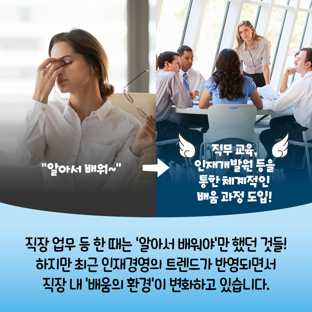 직업 업무 등 한 때는 알아서 배워야만 했던것들! 하지만 최근 인재경영의 트렌드가 반영되면서 직장 내 배움의 환경이 변화되고 있습니다.