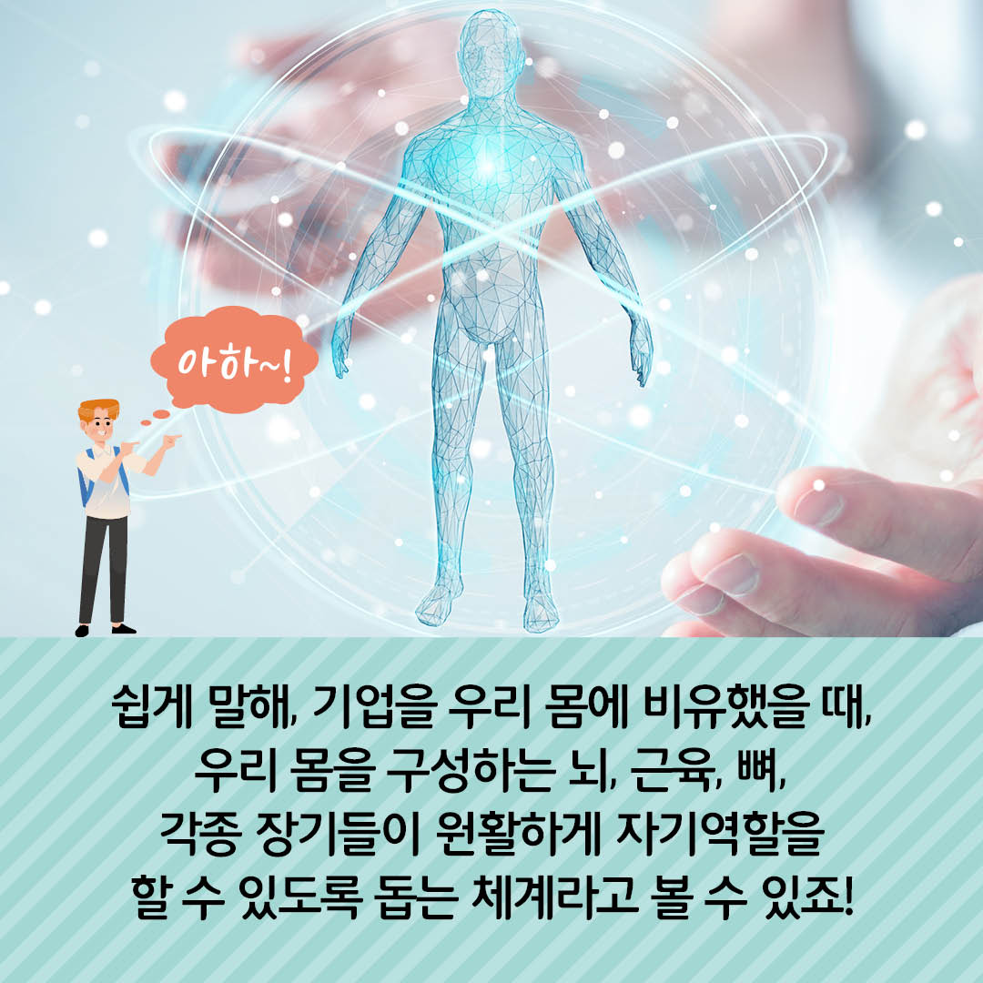 쉽게 말해, 기업을 우리 몸에 비유했을 때 우리 몸을 구성하는 뇌, 근육, 뼈, 각종 장기들이 원활하게 자기역할을 할 수 있도록 돕는 체계라고 볼 수 있죠!